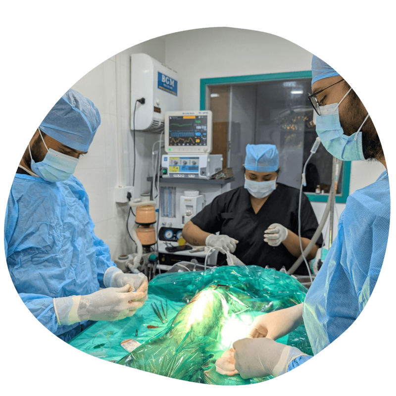 donate save life - rehabilisation (1)
